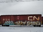 CNA 412294